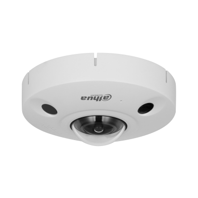 DH-IPC-EBW81242P-AS-S2